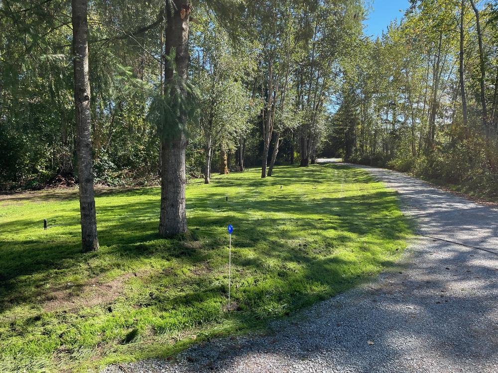 Cleared and seeded lot with mature trees left standing along a gravel drive in North Idaho