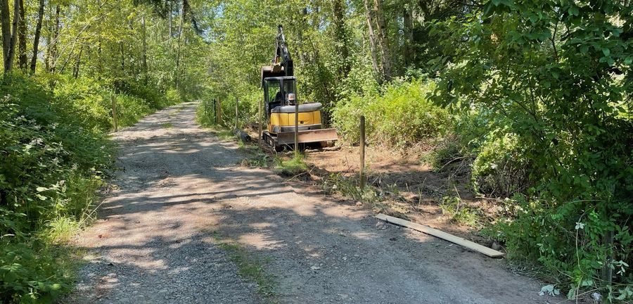 Mini excavator clearing brush along a wooded gravel access road